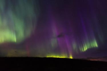 /media/aurora2024-8176-bin2.jpg.800x250_q75.jpg