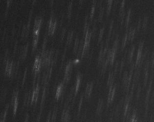 /media/c-2024-R4-PANSTARRS.jpg.800x250_q75.jpg