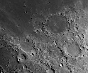 /media/mesic-20250208-215316-pitatus.jpg.800x250_q75.jpg