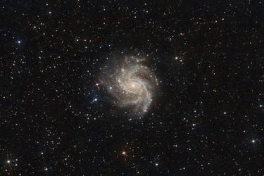 /media/ngc-6946-bin2-02.jpg.800x250_q75.jpg