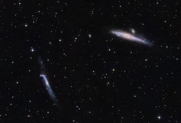 /media/ngc4631-bin2.jpg.800x250_q75.jpg