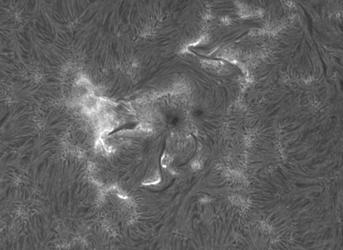 /media/sun-ha-20260430-0724-0910-ar4425-888-13fps.jpg.800x250_q75.jpg