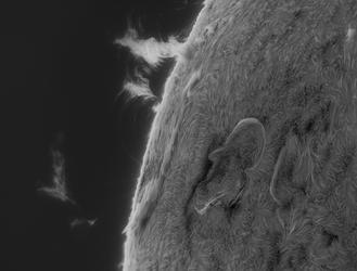 /media/sun-ha-20260523-0927-protuberance-bin2-b25x.jpg.800x250_q75.jpg
